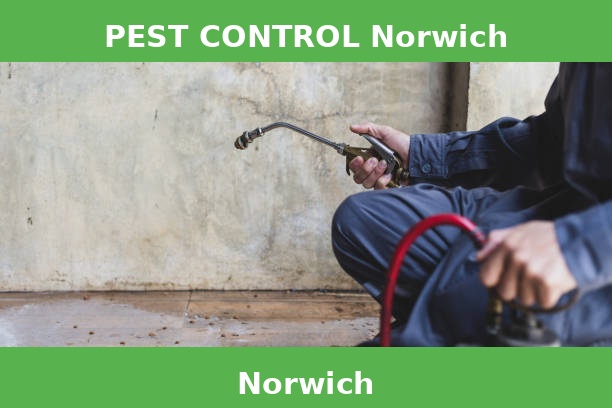 PEST CONTROL Norwich